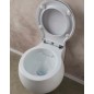 Clean Flush WC cuvette suspendue Planet