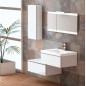 Meuble Suspendu Salle de Bain Duo 70