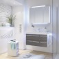 Meuble Suspendu Salle de Bain Balto 92.4