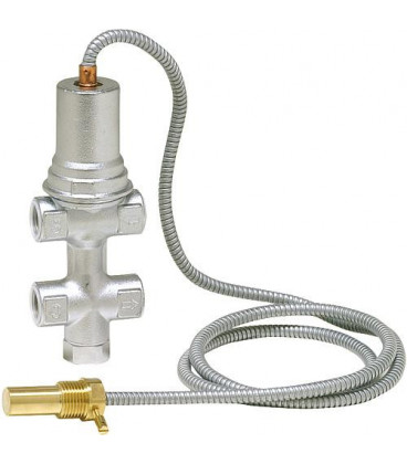 Securite d ecoulement thermique 1/2" avec sonde de securite 2 paliers