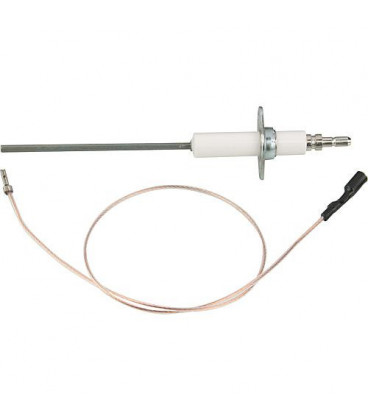 Electrode d'ionisation Abic 14510-001