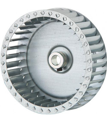 Roue de ventilation Hansa 1001139 remplace 1069