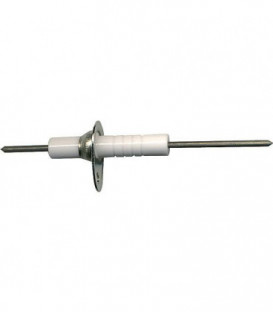 Electrode d ionisation pour RAPIDO GA 100 E/EU/EUS (IE) 503789