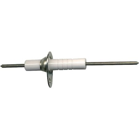 Electrode d ionisation pour RAPIDO GA 100 E/EU/EUS (IE) 503789