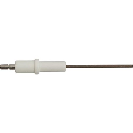 Electrode d ionisation convient pour Rapido Econpact 15-50