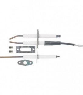 Electrode, kit de maintenance Vaillant 0020086371