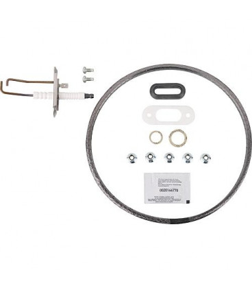 Kit de joint, kit de maintenance electrode II Vaillant 0020218247