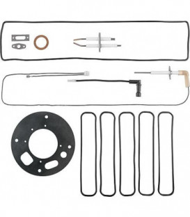 Kit de maintenance weishaupt 48230100162