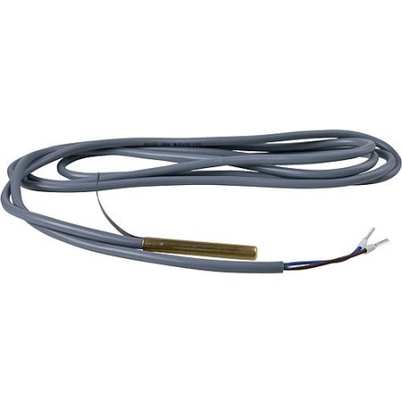 Capteur immerge KVT 20/2/6 avec cable en fonte 2 m diam. des douilles 6 mm