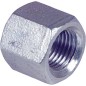 Bouchon V4A inox 2 1/2" EF 301 femelle