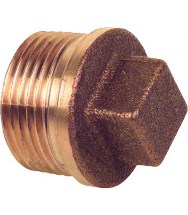 Raccord fileté en bronze bouchon avec bord type 3290 1/2" filet male WG904