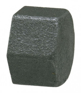 Raccord en fonte malleable, noir Bouchon 1" Type 300, polygonal