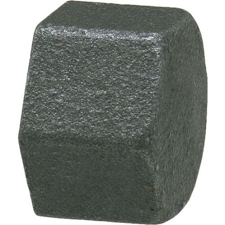 Raccord en fonte malleable, noir Bouchon 11/2" Type 300, polygonal