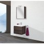 Kit meuble salle de bain ELAI Série MBO, chene foncé decor largeur 600mm, 2 tiroirs