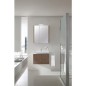 Ensemble salle de bain EOLA tranche marron largeur 700 mm