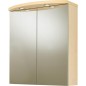 Armoire a glace, decor poire eclairage, 2 portes 700x798x205/340 mm