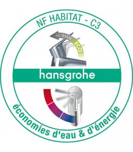 Mitigeur lavabo Hangrohe Logis Loop 100, chrome avec Cartouche C3, NF