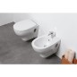 WC mural EVID en céramique blanc lxhxp : 350x375x525
