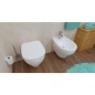 WC mural EVID en céramique blanc lxhxp : 350x375x525