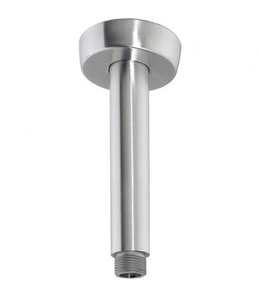 tube raccord plafond tete de douche L : 100mm inox inox brossé