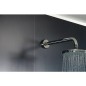 tube raacord mural pour tete de douche L : 400mm inox poli