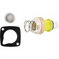 Piston Grohe complet pour Tectron 577 4297000