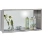 Niche murale avec panneau arriere miroir, profondeur 100 mm lxhx : 625x325 mm