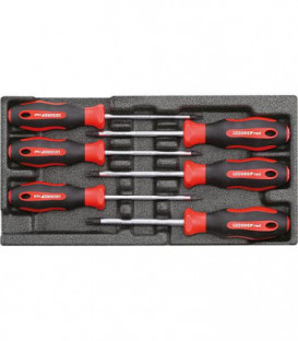 Kit tournevis GEDORE red 6 pcs Torx