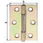Charniere, 51x37x1mm jaune galva