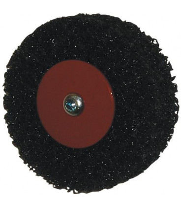 Disque de nettoyage 100 x 12 mm