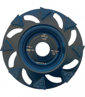 Disque diamant EIBENSTOCK Premium, convient pour EBS 120.1 diam. 125 mm, pour couleur, revet. colle