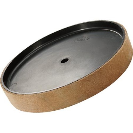 Disque d'affilage HOLZKRAFT pour NTS 200, diam. 220 x 30 mm