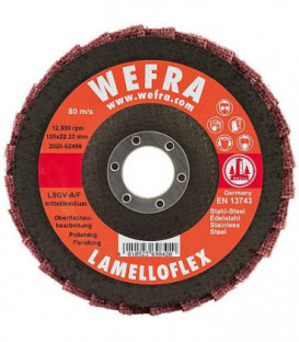 Disque a lamelles WEFRA LSGV-A/M moyen D : 125 x 22,23mm