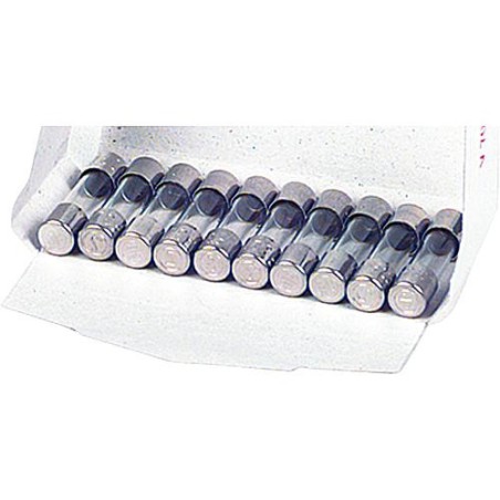 Fusible pour courant faible 0,315 A a action instantanee (5x20mm) 10 pieces