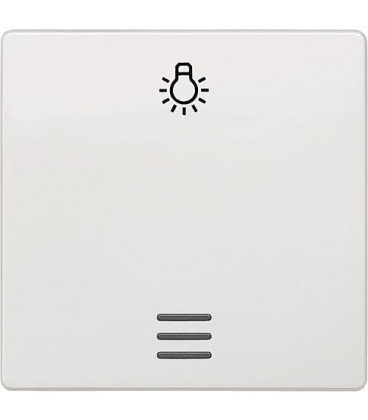 Interrupteur a bascule avec symbole lumiere et fentre blanc electrique 55x55 mm type de protectionIP20 1pc