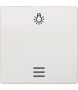 Interrupteur a bascule avec symbole lumiere et fenetre blanc titan 55x55mm type de protection IP20 1pc