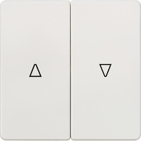 Interrupteur a bascule 2 boutons avec symbole Auf Ab Type de protection IP20 1pc