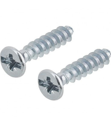 Vis 3,2 x 15mm avec combi-cruciforme emballage  :  100 piecs