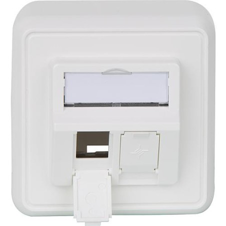 Insert moduel 80x80, 2 casiers en saille blanc alpin, 1 piece *BG*