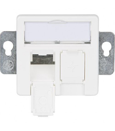 Insert module 50x50, 2 casiers encastré/50 blanc alpin, 1 piece *BG*