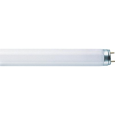 Tube fluorescent LUMILUX T8 Tige, socle G13, L36W/830 25 pcs