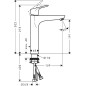 Mitigeur vasqhe Hansgrohe 190 Focus, avec robinetterie d'écoulement, chrome