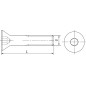 Vis à tête fraisée 10.9 avec six pans creux M 5x10, UE 500
