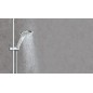 Colonne de douche Grohe Euphoria 110 2 jets 900mm avec porte-savon