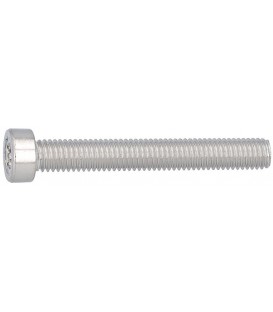 Vis cylindriques, TX, tête basse ISO 14580 A2-070 M 5X50 conditionnement : 200