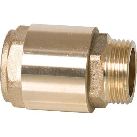 Clapet anti-retour IG pour AG 3/4" avec insert métallique et joint Viton