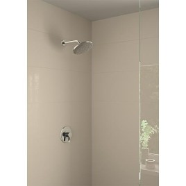 Pomme de douche Hansgrohe