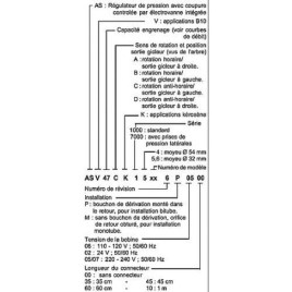 Pompes de brûleur ASV 47 B 16376 P0700