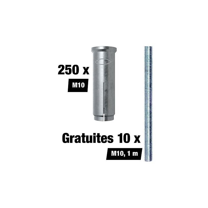 Set promotionnel Fischer Chevilles à frapper EA II - M10, 250 pièces + 10 tiges filetées M8 gratuites