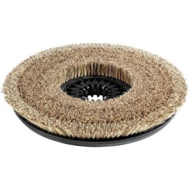 Brosse disque complète naturel D43